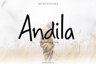 Andila Font Review: A Playful Display Option for Modern Brands