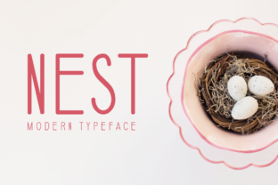 Reviewing Nest: A Calm Editorial Font for Creative Publishing