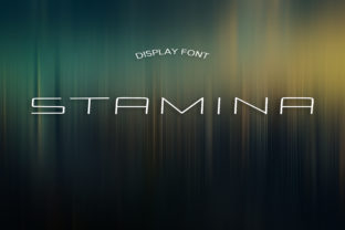 Stamina: A Font for Elegant Branding and Headline Design