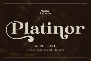 Why Platinor Is the Elegant Serif Font You Need